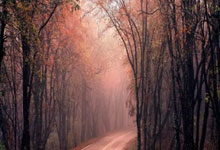 突破平台股票:贵阳配资公司-券商8月以来调研162家公司！宠物龙头人气最高 创新药出海受关注