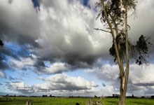 新手如何买股票如何开户:杭州配资平台有哪些-9月3日国内四大证券报纸、重要财经媒体头版头条内容精华摘要